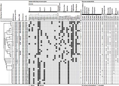 Characteristics of <mark class="highlighted">Carbapenemase-Producing Klebsiella</mark> pneumoniae Isolated in the Intensive Care Unit of the Largest Tertiary Hospital in Bangladesh